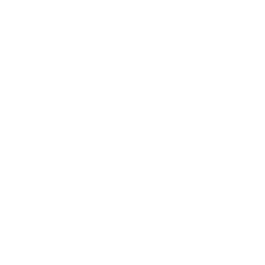 Copy of smps