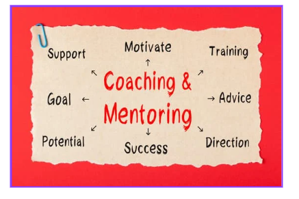 Mentorship and Coaching Programs