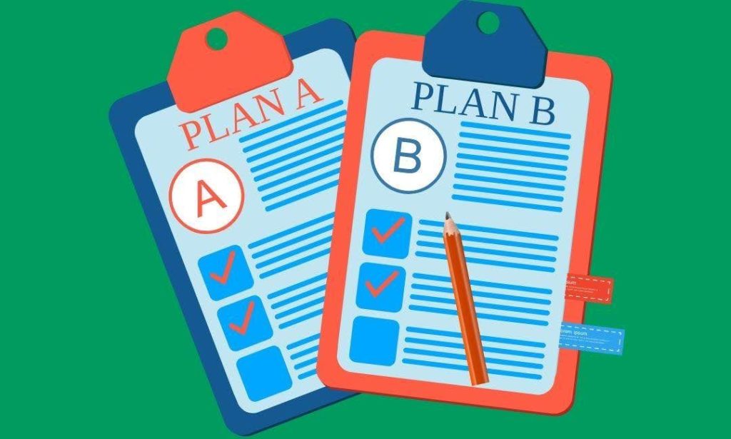 Flexibility and Contingency Planning