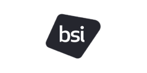 bsi-group png small