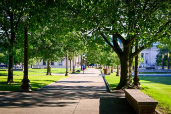 gardens or parks