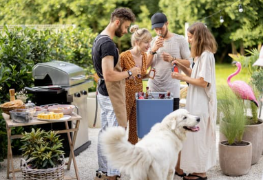 backyard party