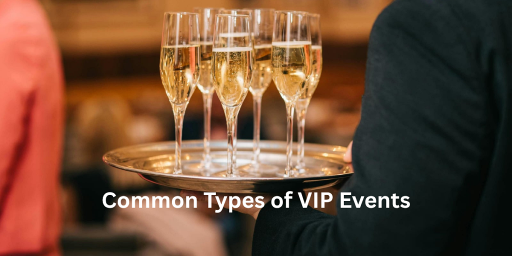What Are VIP Events? Meaning, Examples & Benefits
